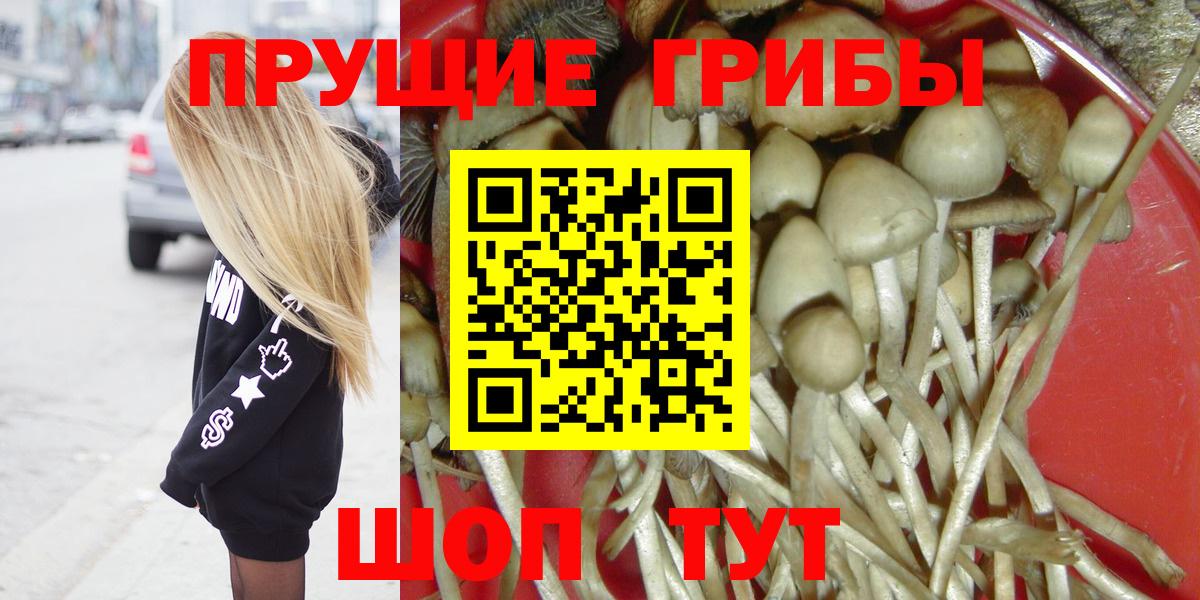 Галлюциногенные грибы Cubensis  Вход с VPN  Псилоцибиновые грибы Psilocybine cubensis  Темрюк 